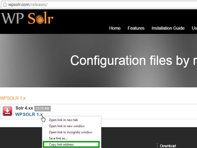 WPSolr Configuration Download