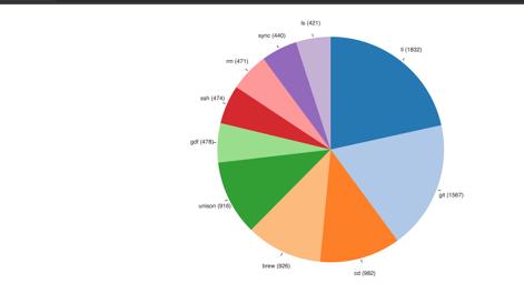 js_pie_chart.png